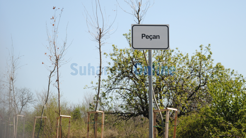Komuna e Suharekës ndan mbi 24 mijë euro për ndërtimin e disa rrugëve lokale në Peqan