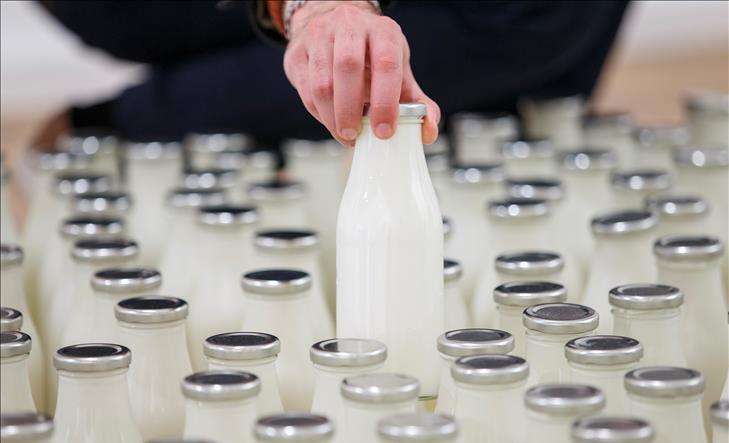 Suharekë, drejtoria e Bujqësisë fton fermerët të aplikojnë për subvencionim të qumështit