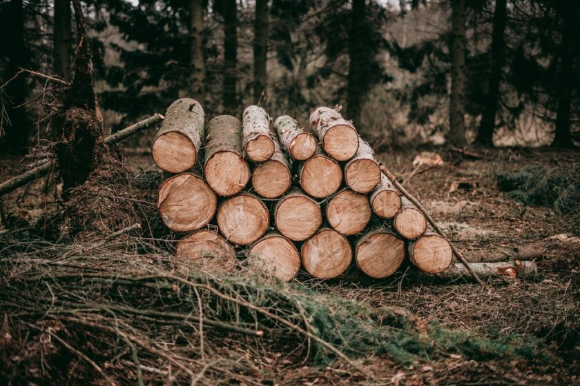 Komuna e Suharekës shpall një vend të lirë pune për roje pylli