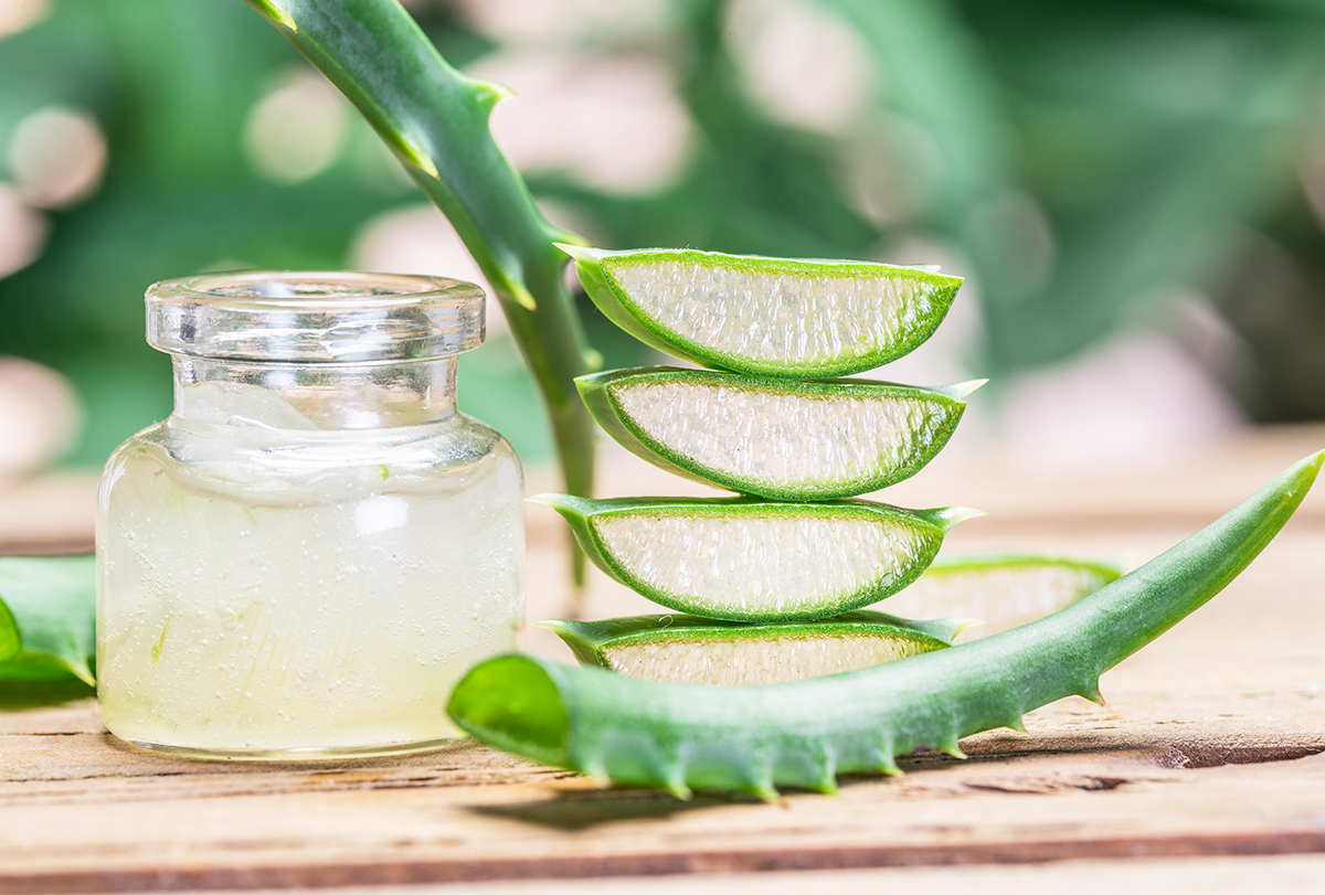 Aloe vera – Bima tërheqëse që përshpejton shërimin e plagëve, pastron lëkurën, ul sheqerin në gjak