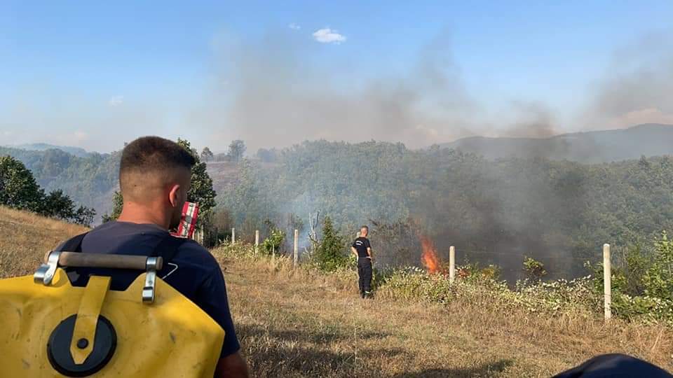 Zjarret në Suharekë, policia thotë se u dogjën rreth 10 hektarë pyll