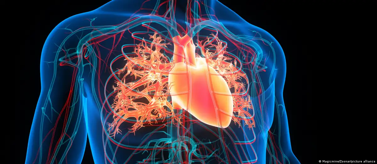 Inteligjenca Artificiale mund të parashikojë infarktet e zemrës