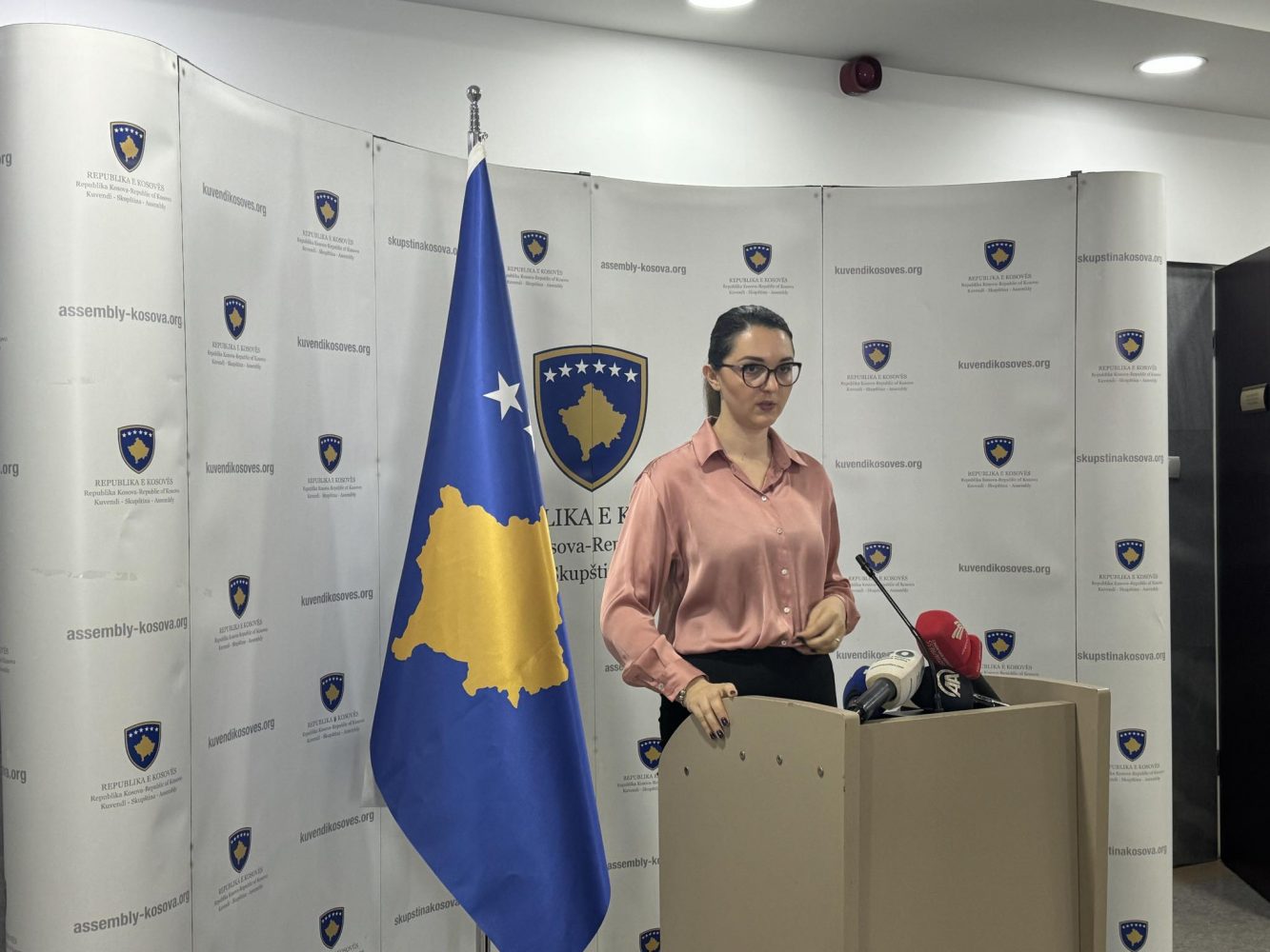 Siguria në Ballkanin Perëndimor, temë diskutimi ndërmjet deputetëve kosovarë e atyre gjerman